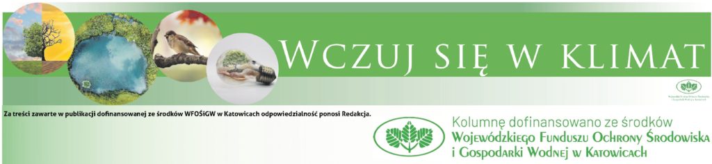 Wczuj się w klimat